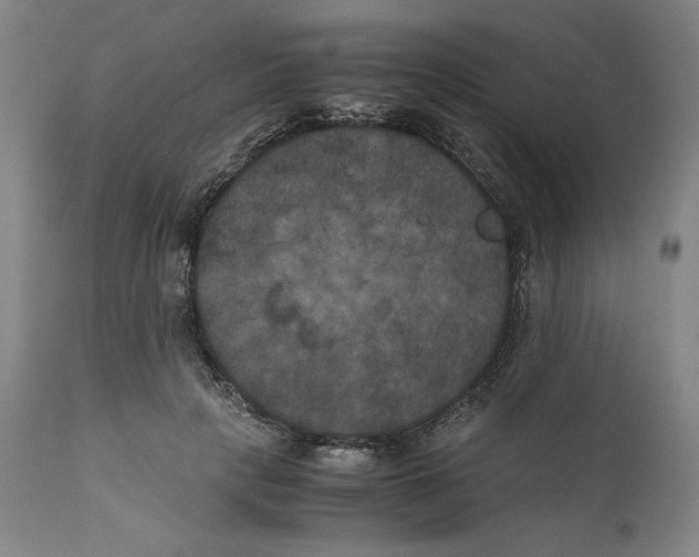 X0000111010649200907101317