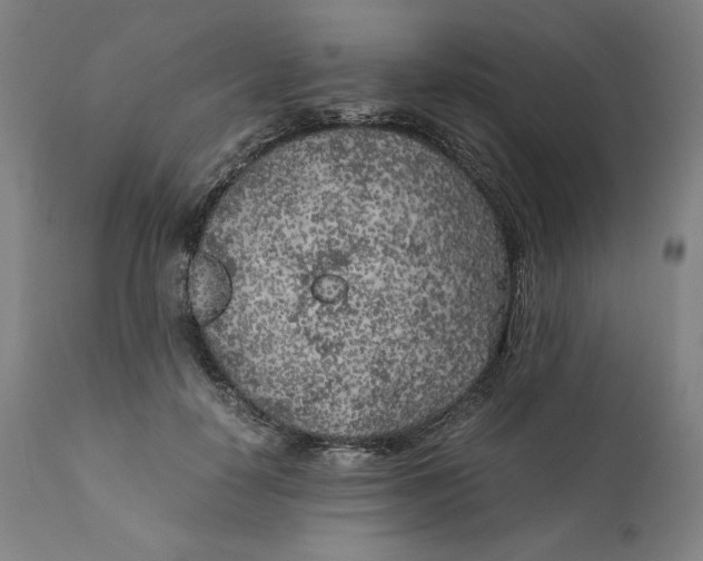 X0000111010650200907101317