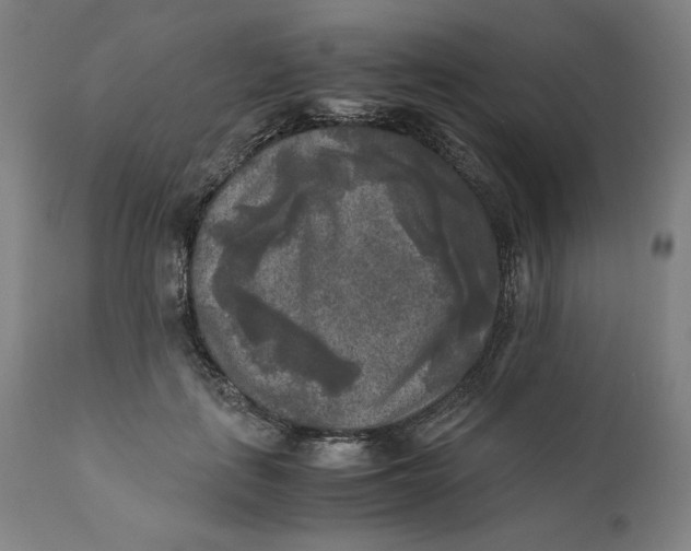 X0000111010651200907101317