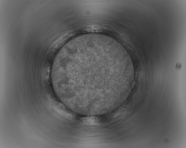 X0000111010652200907101317
