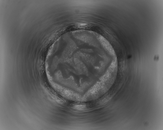 X0000111010653200907101317