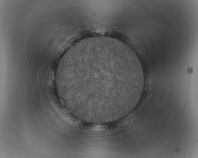 X0000111010656200907101317