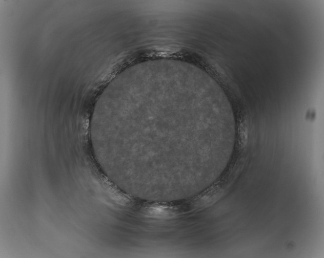 X0000111010657200907101317