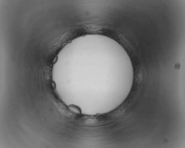 X0000111010658200907101317