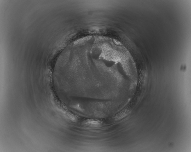 X0000111010659200907101317
