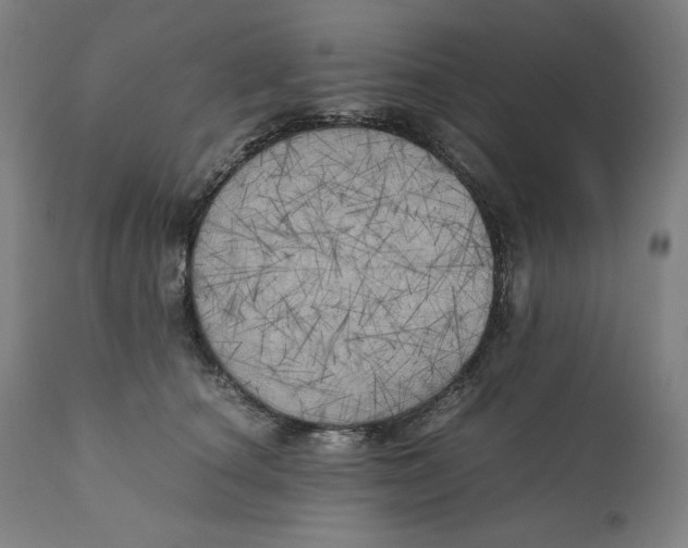 X0000111010660200907101317