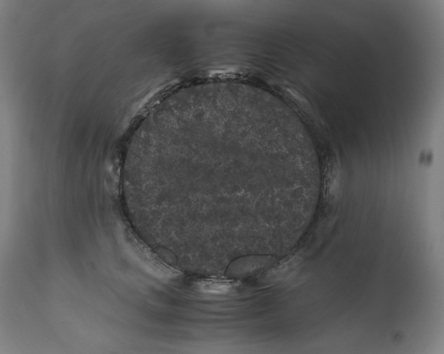 X0000111010661200907101317