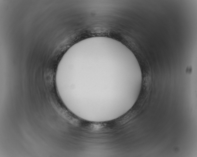 X0000111010662200907101317