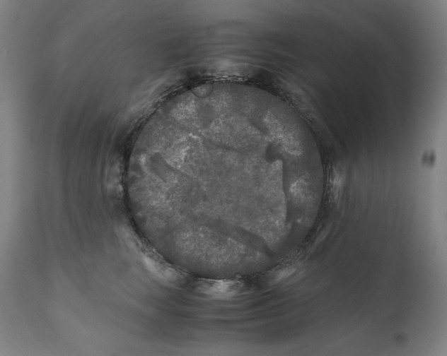 X0000111010663200907101317