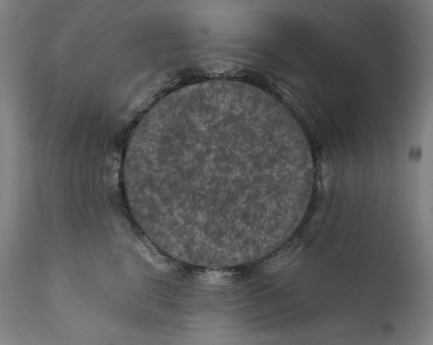 X0000111010664200907101317