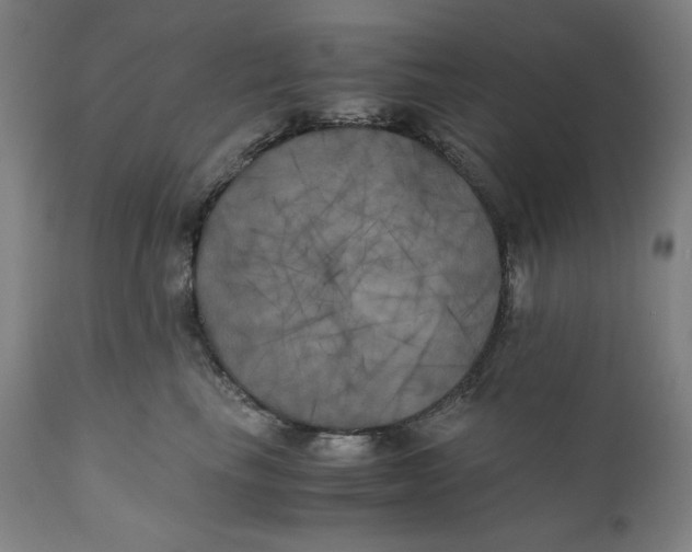 X0000111010665200907101317