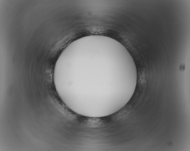 X0000111010666200907101317