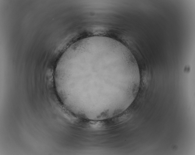 X0000111010667200907101317