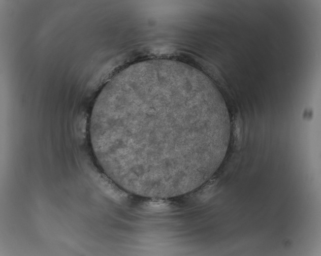 X0000111010668200907101317