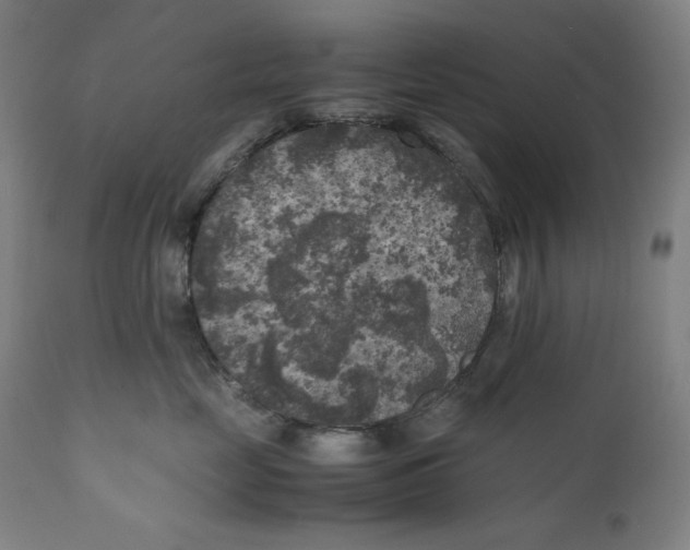 X0000111010669200907101317