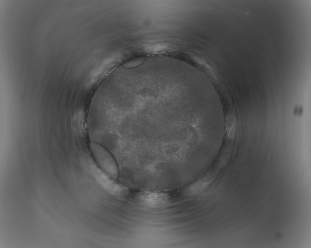X0000111010670200907101317