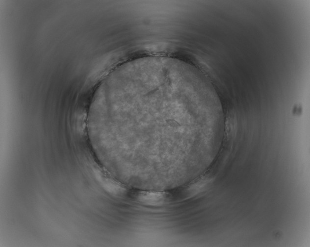 X0000111010671200907101317