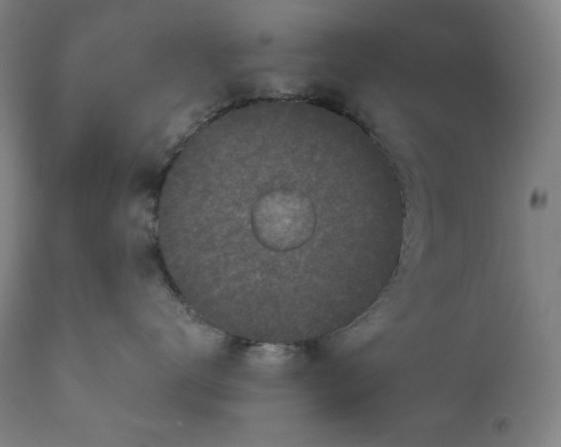 X0000111010672200907101317