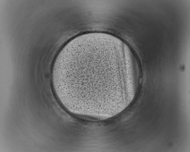 X0000111010673200907101316