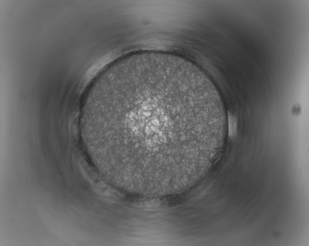 X0000111010675200907101316