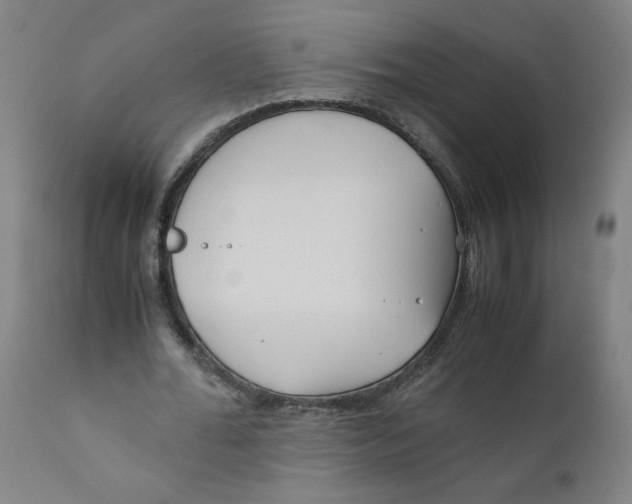 X0000111010676200907101316