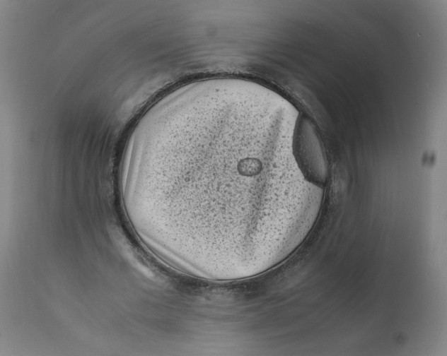 X0000111010677200907101316