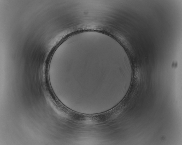 X0000111010678200907101316