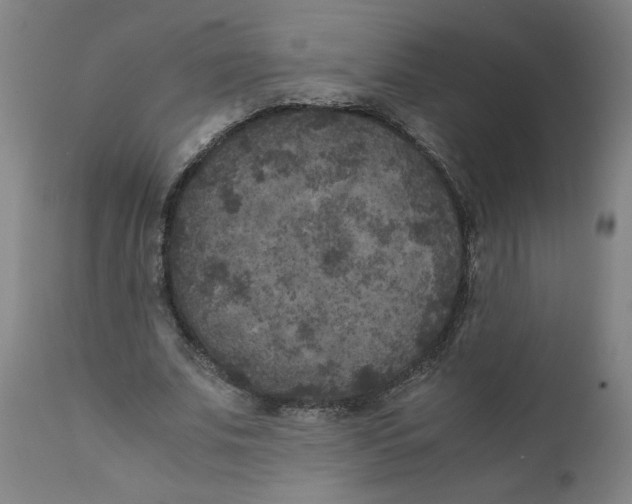 X0000111010679200907101316