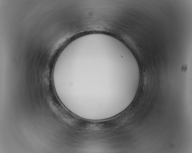 X0000111010680200907101316