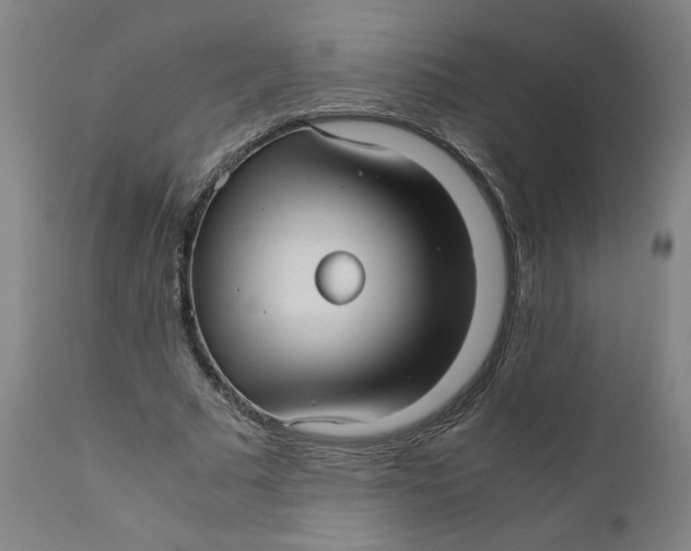 X0000111010681200907101316