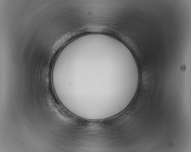 X0000111010682200907101316