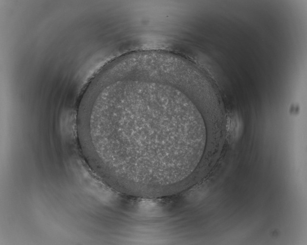 X0000111010684200907101316