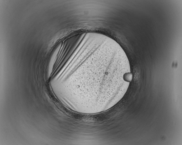 X0000111010685200907101316