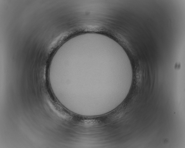 X0000111010686200907101316