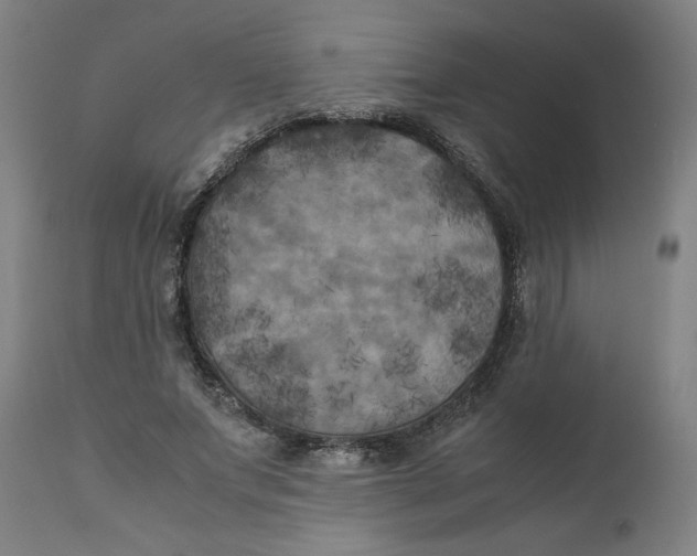 X0000111010687200907101316