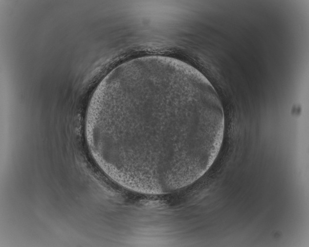 X0000111010689200907101316