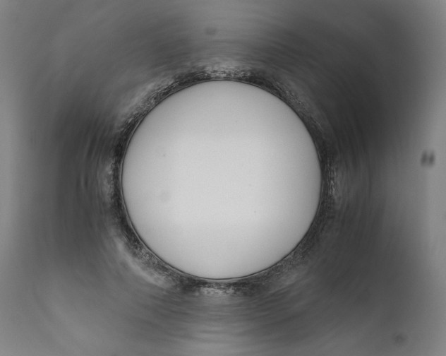 X0000111010690200907101316