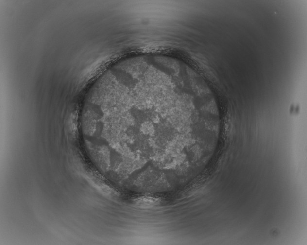 X0000111010691200907101316