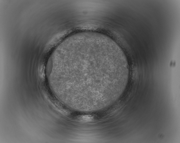 X0000111010692200907101316