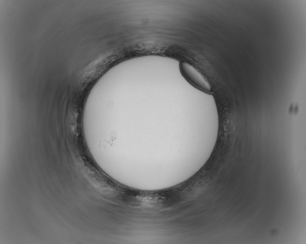 X0000111010693200907101316