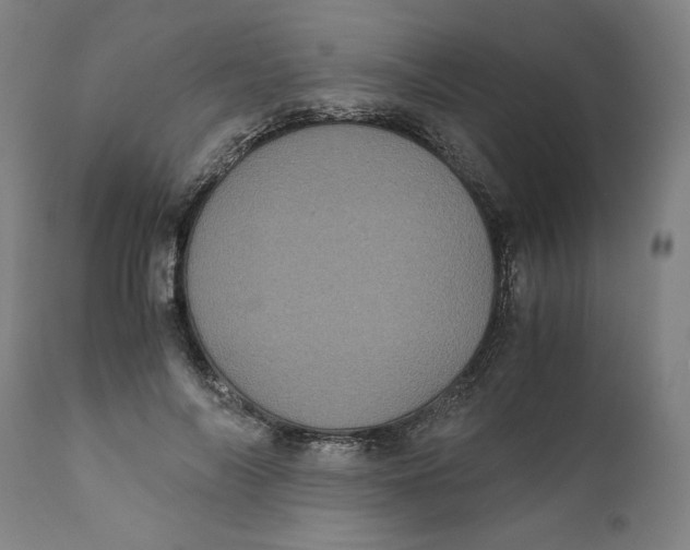 X0000111010694200907101316