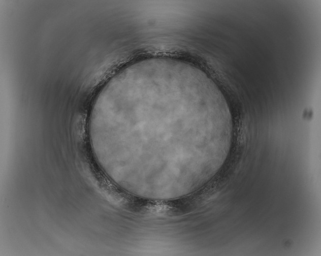 X0000111010695200907101316