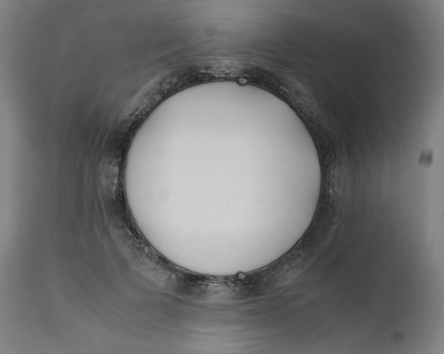 X0000111010697200907101316