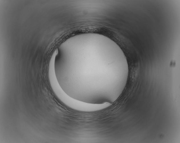 X0000111010701200907101316