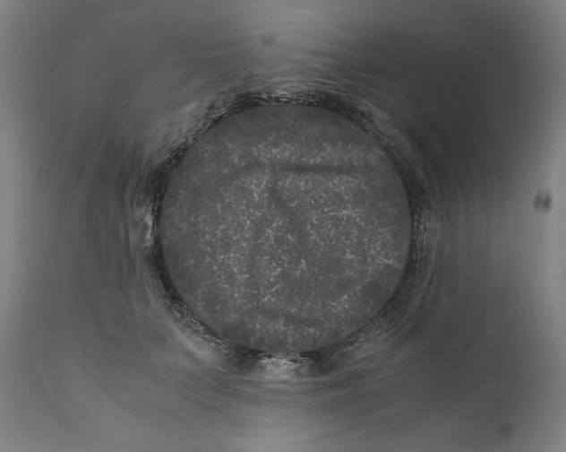 X0000111010703200907101316