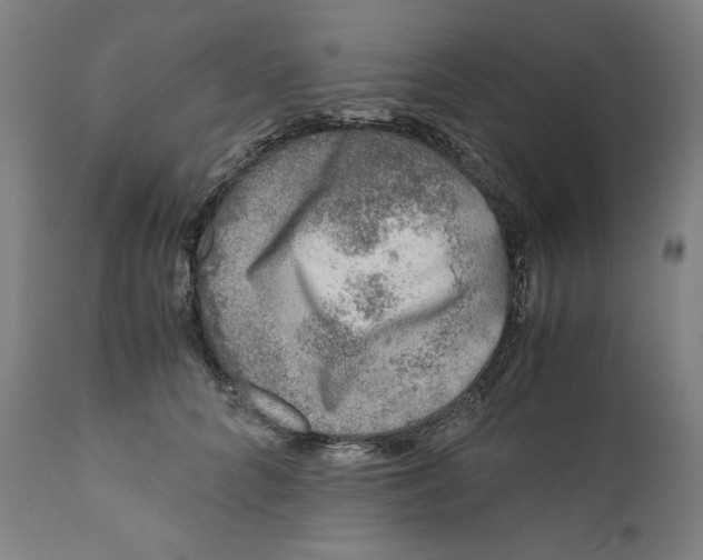 X0000111010704200907101316