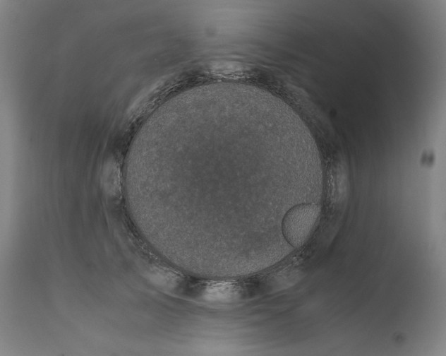 X0000111010705200907101316