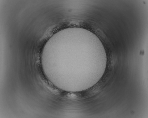 X0000111010706200907101316