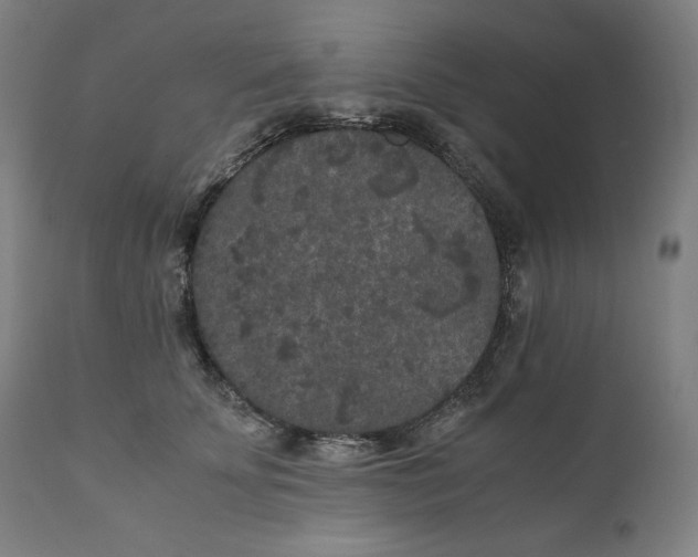 X0000111010707200907101316