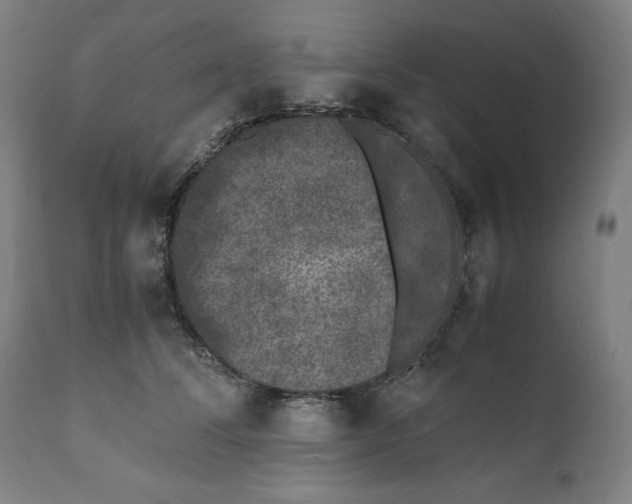 X0000111010708200907101316